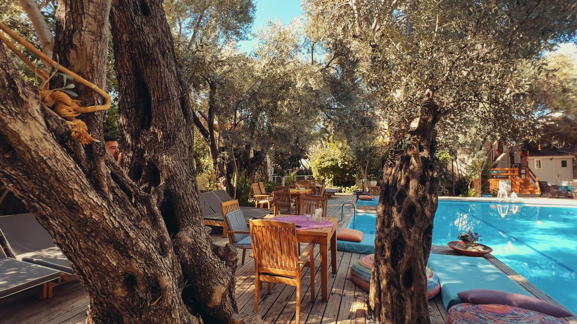 Oyster Residences - Adult Only Hotel Ölüdeniz